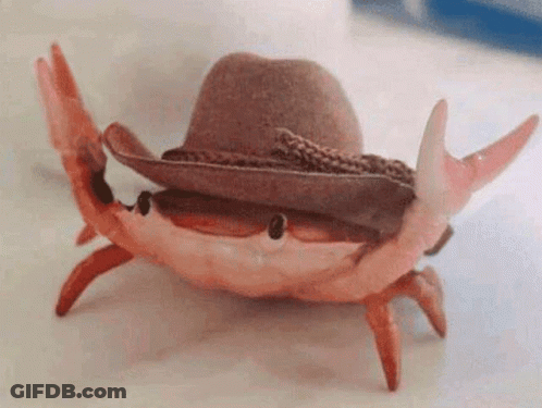 Toy Crab Wearing Cowboy Hat GIF