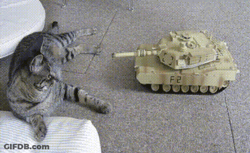 Toy Tank Versus Cat GIF