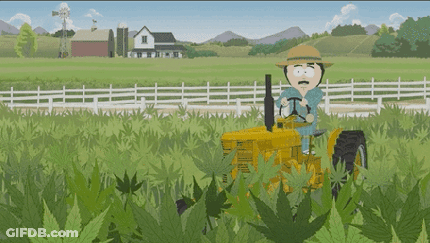 Tractor South Park Tegridy Farms GIF
