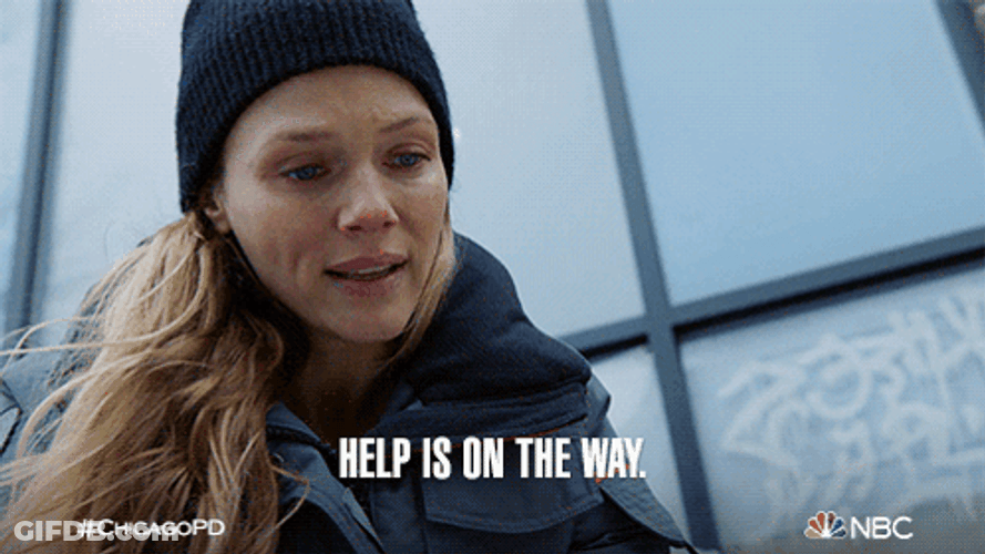 Tracy Spiridakos Help Is On The Way Dear GIF
