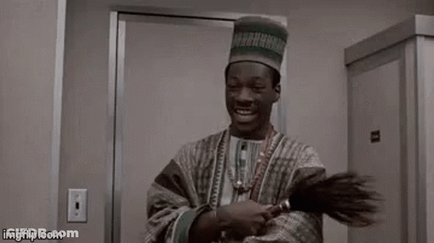 Trading Places Eddie Murphy Hail GIF