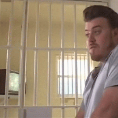 Trailer Park Boys Talking Free Jord GIF