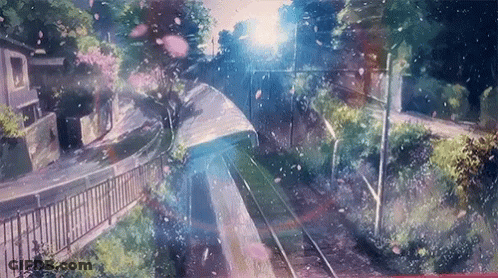 Train On Tracks With Cherry Blossoms GIF