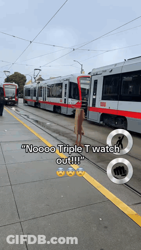 Train Saying Noooo Triple T Watch Out !! GIF