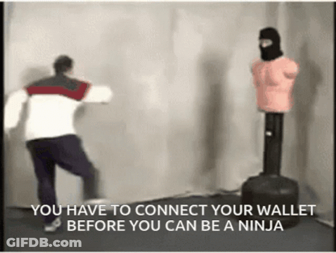 Training Ninja Protocol GIF