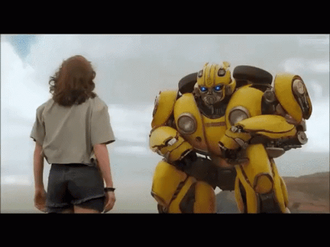 Transformers Bumblebee To Beatle GIF