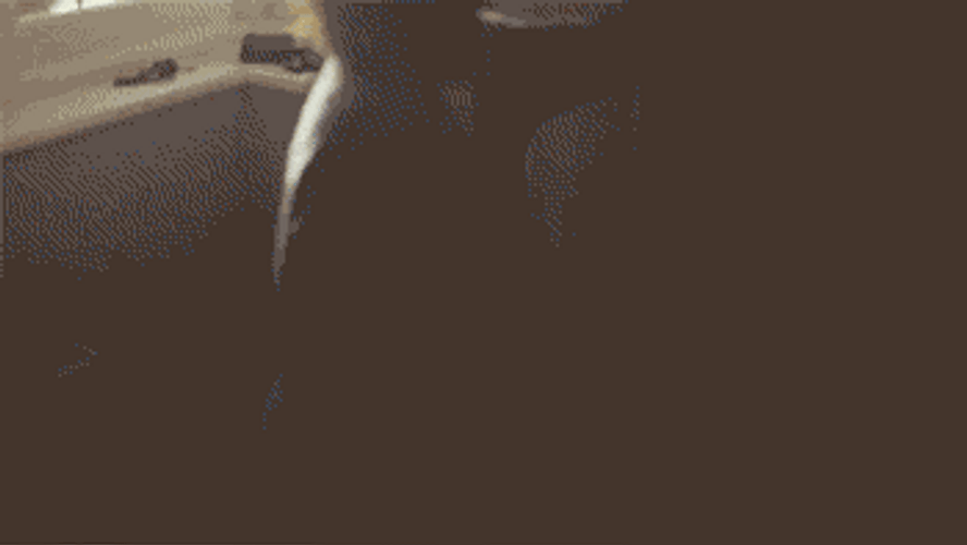 Transformers Kid Cosplay Cute GIF