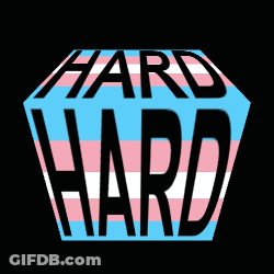 Transgender Flag Saying Hard GIF