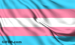 Transgender Flag Waving In Wind GIF