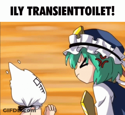 Transient Transienttoilet GIF