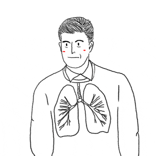 Transparent Breathing Lungs Animation GIF