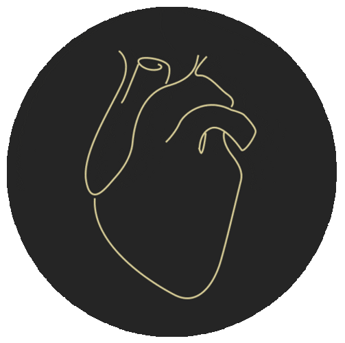 Transparent Heart Sticker Human Heart Beating GIF