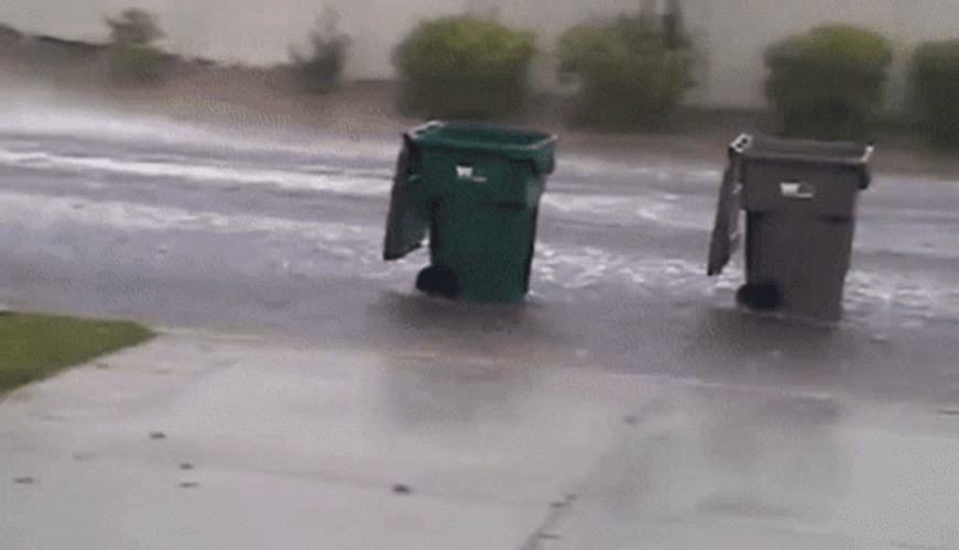 Trash Bins Rain Race GIF