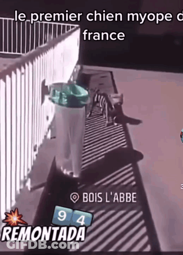 Trash Can In France With 94 Remontada GIF