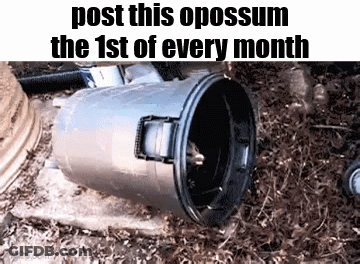 Trash Can With Post This Opossum Text GIF