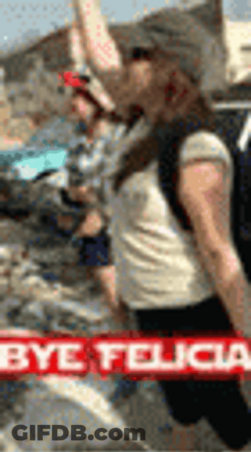 Travelers Waving Bye Felicia GIF