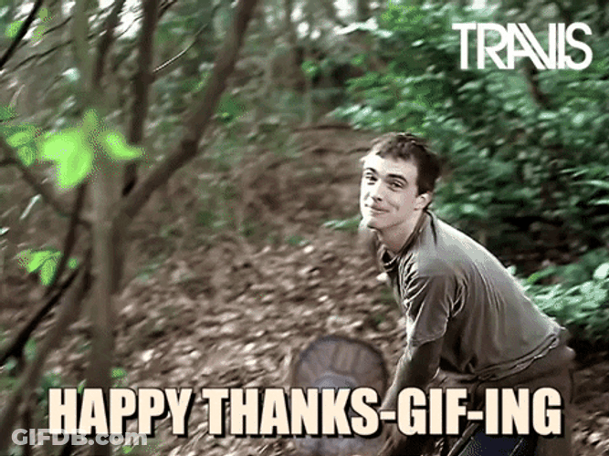 Travis Flying Turkey Meme GIF