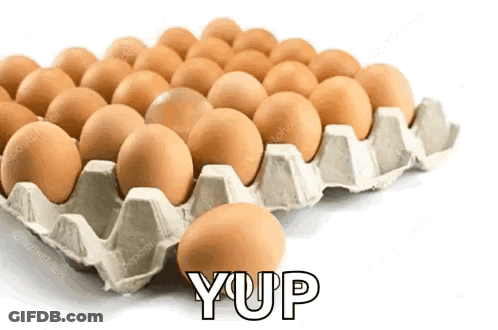 Tray Of Eggs With Yup GIF