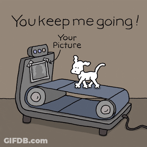 Treadmill You Keep Me Going On Chippy The Dog GIF