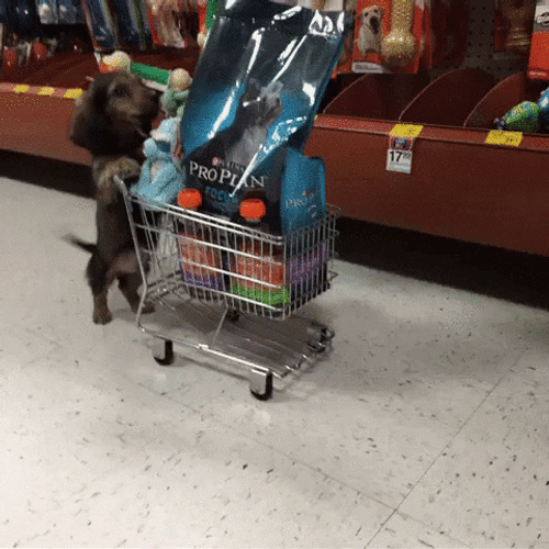 Treat Yo Self Dog Food Grocery GIF