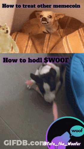 Treating And Holding $Woof Meme Coin GIF