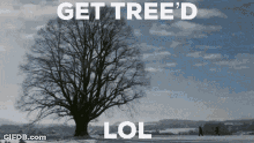 Tree In Every Season Get Tree Lol Meme GIF