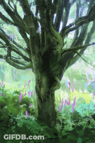 Tree In Forest With Purple Flowers GIF