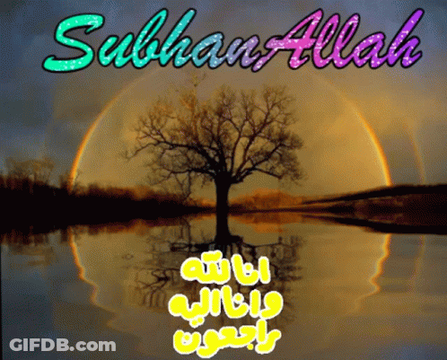 Tree In Lake With Subhan Allah Above GIF