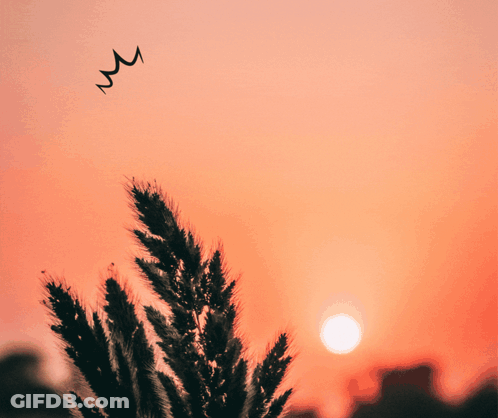 Tree Saying Good Morning Honey GIF