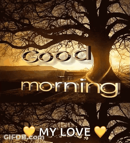 Tree Saying Good Morning My Love GIF