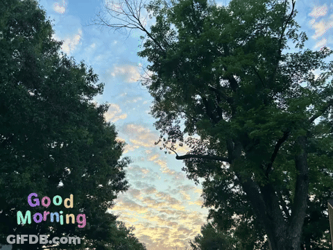 Tree Saying Good Morning GIF