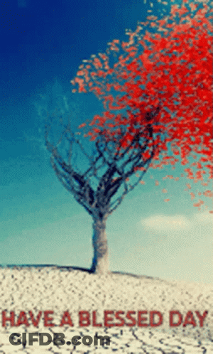 Tree Saying Have A Blessed Day GIF