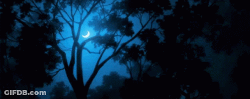 Tree Silhouette Against Blue Sky And Crescent Moon GIF