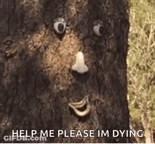 Tree Trunk Face Saying Help Me Please Im Dying GIF