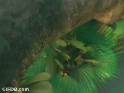 Tree With Come On Wake Up Now GIF