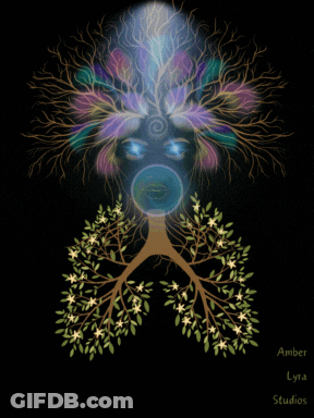 Tree With Flowers And Amber Lyta Studios GIF