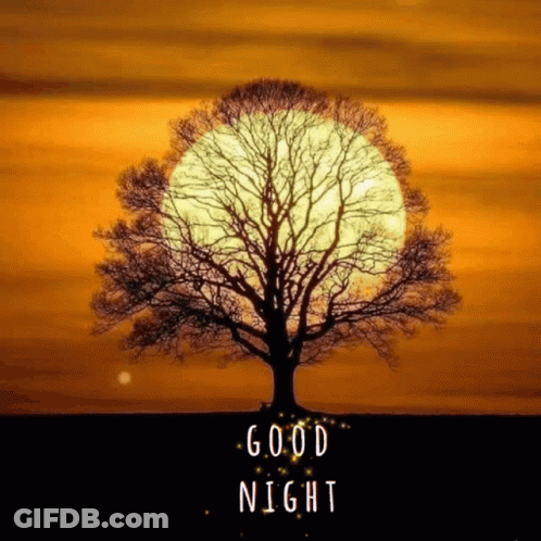 Tree With Full Moon Saying Good Night GIF