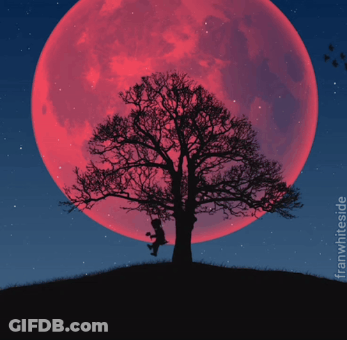 Tree With Full Moon Saying Good Night GIF