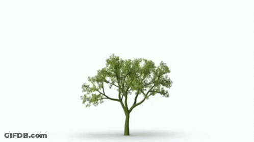 Tree With Green Leaves GIF