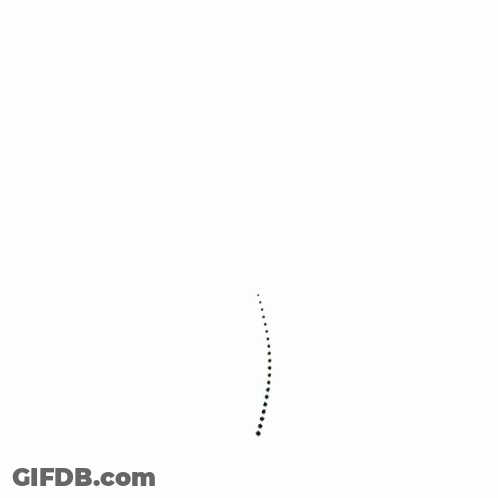 Tree With Green Leaves And Branches GIF