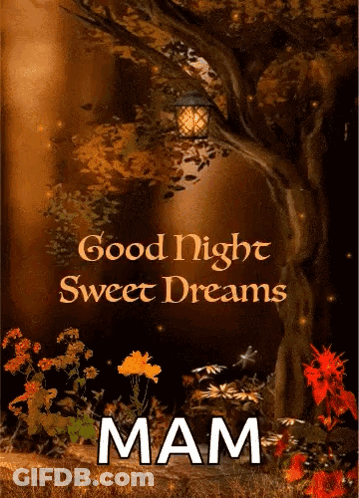 Tree With Lantern Saying Good Night Sweet Dreams Mam GIF