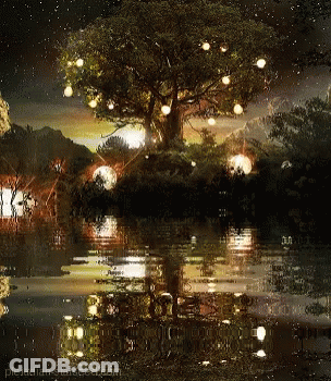 Tree With Lights Reflected In Water At Night GIF