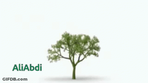 Tree With Name Aliabdi GIF
