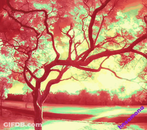 Tree With Pink And Green Leaves Surrounded By Green Field GIF