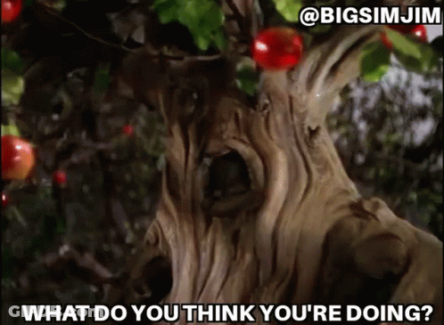 Tree With Red Apples Saying What Do You Think You're Doing GIF