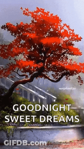 Tree With Red Leaves Saying Goodnight Sweet Dreams GIF