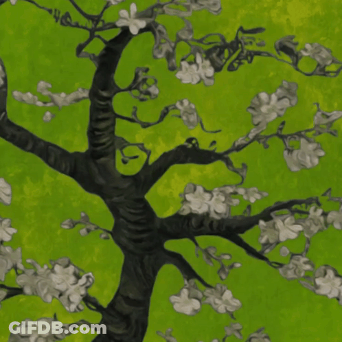 Tree With White Flowers GIF