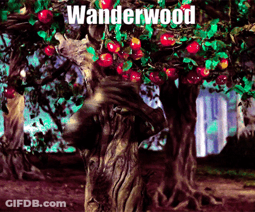 Tree With Word Wanderwood GIF
