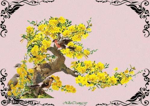 Tree With Yellow Flowers And Birds 2019 GIF