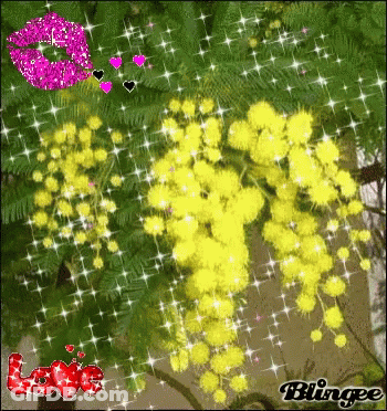 Tree With Yellow Flowers And Red Love GIF